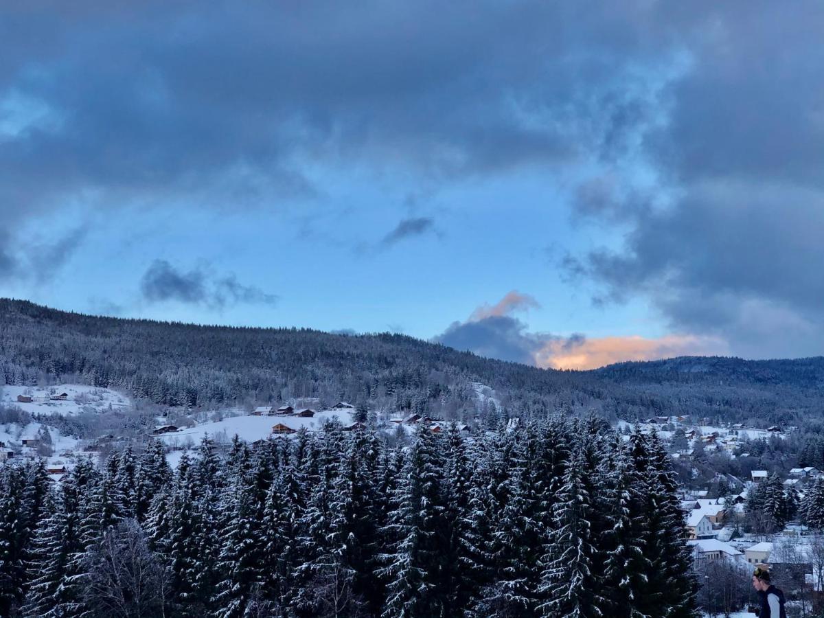 Le Bois Des Neiges Charmant Chalet Authentique A 5 Mn De Gerardmer Ксонрю-Лонжмер Екстер'єр фото