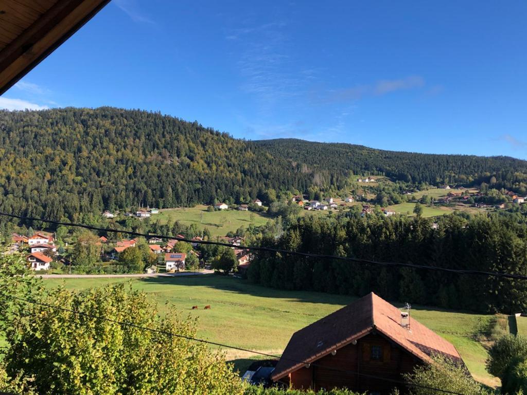 Le Bois Des Neiges Charmant Chalet Authentique A 5 Mn De Gerardmer Ксонрю-Лонжмер Екстер'єр фото