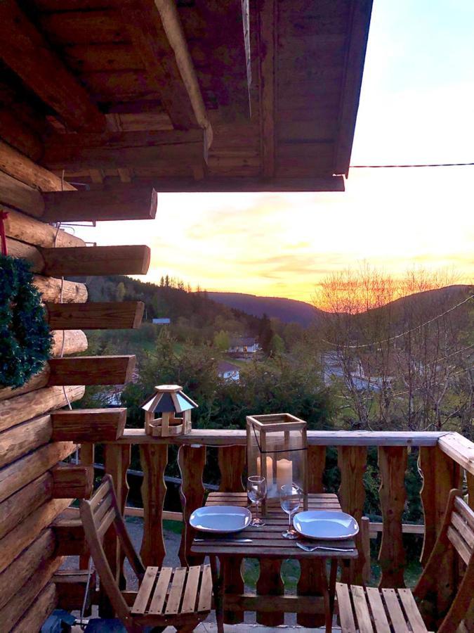 Le Bois Des Neiges Charmant Chalet Authentique A 5 Mn De Gerardmer Ксонрю-Лонжмер Екстер'єр фото