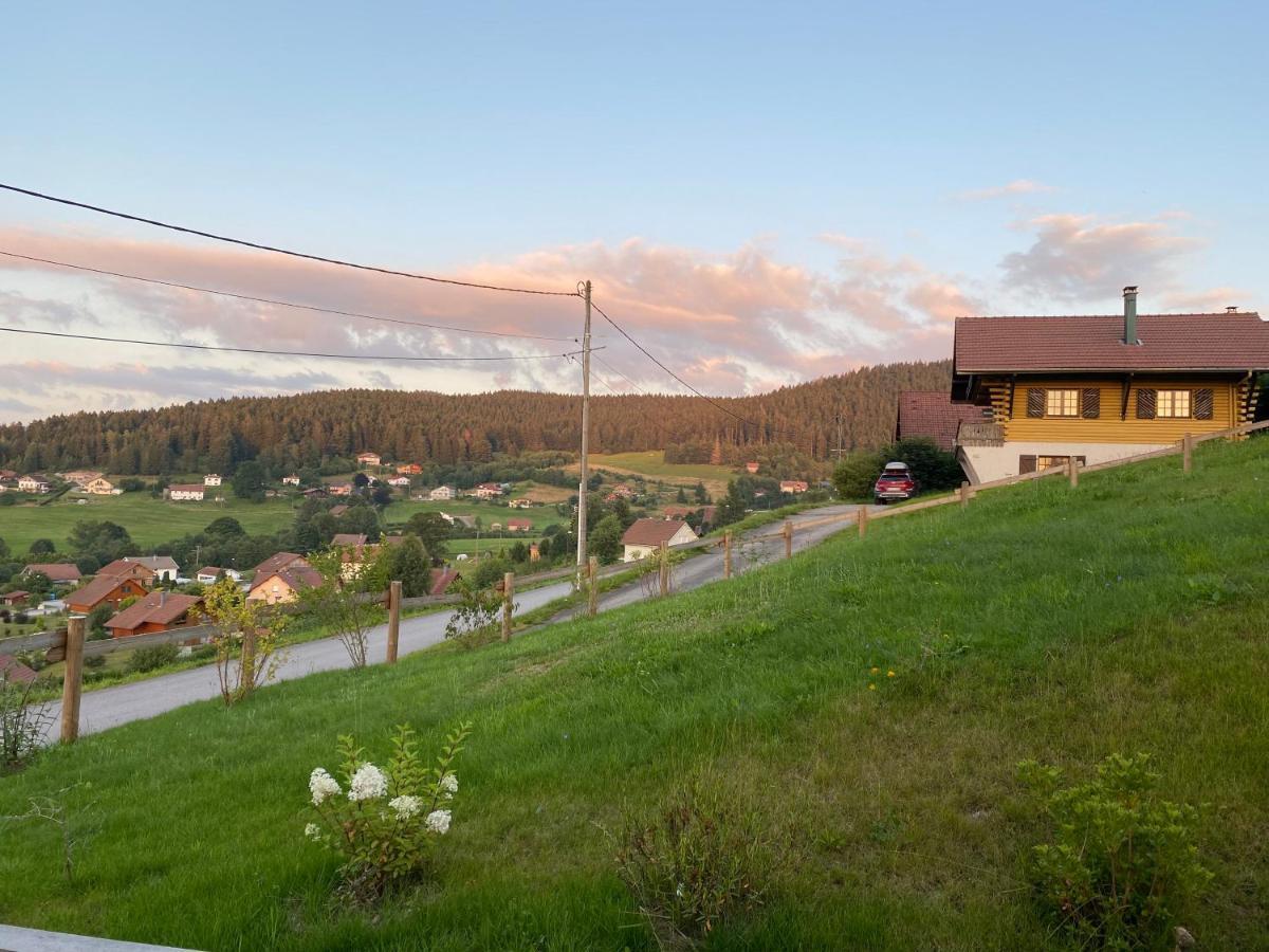 Le Bois Des Neiges Charmant Chalet Authentique A 5 Mn De Gerardmer Ксонрю-Лонжмер Екстер'єр фото