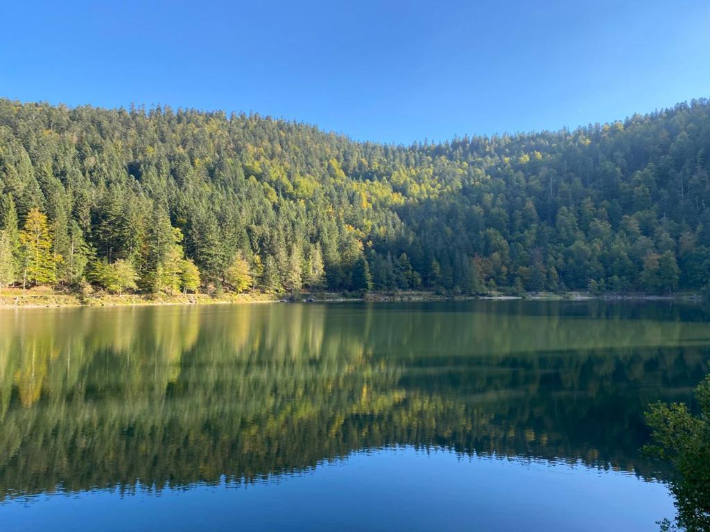 Le Bois Des Neiges Charmant Chalet Authentique A 5 Mn De Gerardmer Ксонрю-Лонжмер Екстер'єр фото